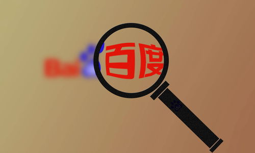 蜘蛛池强引开多少合适